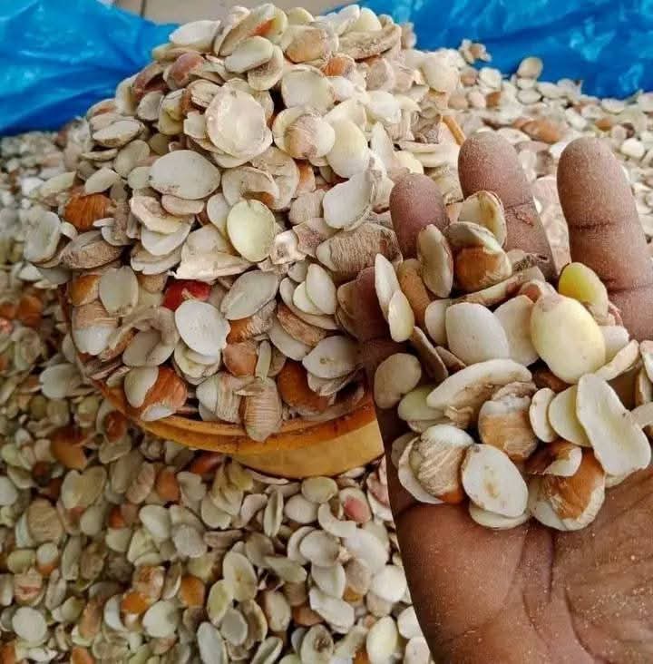 Ogbono