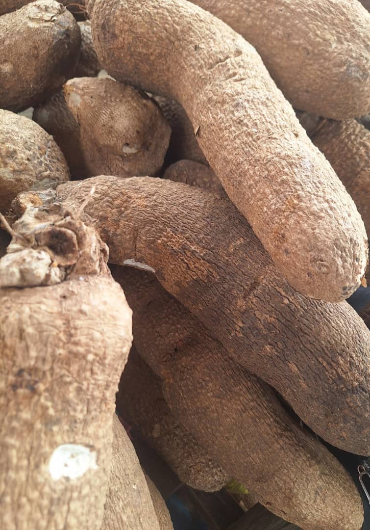 Yam